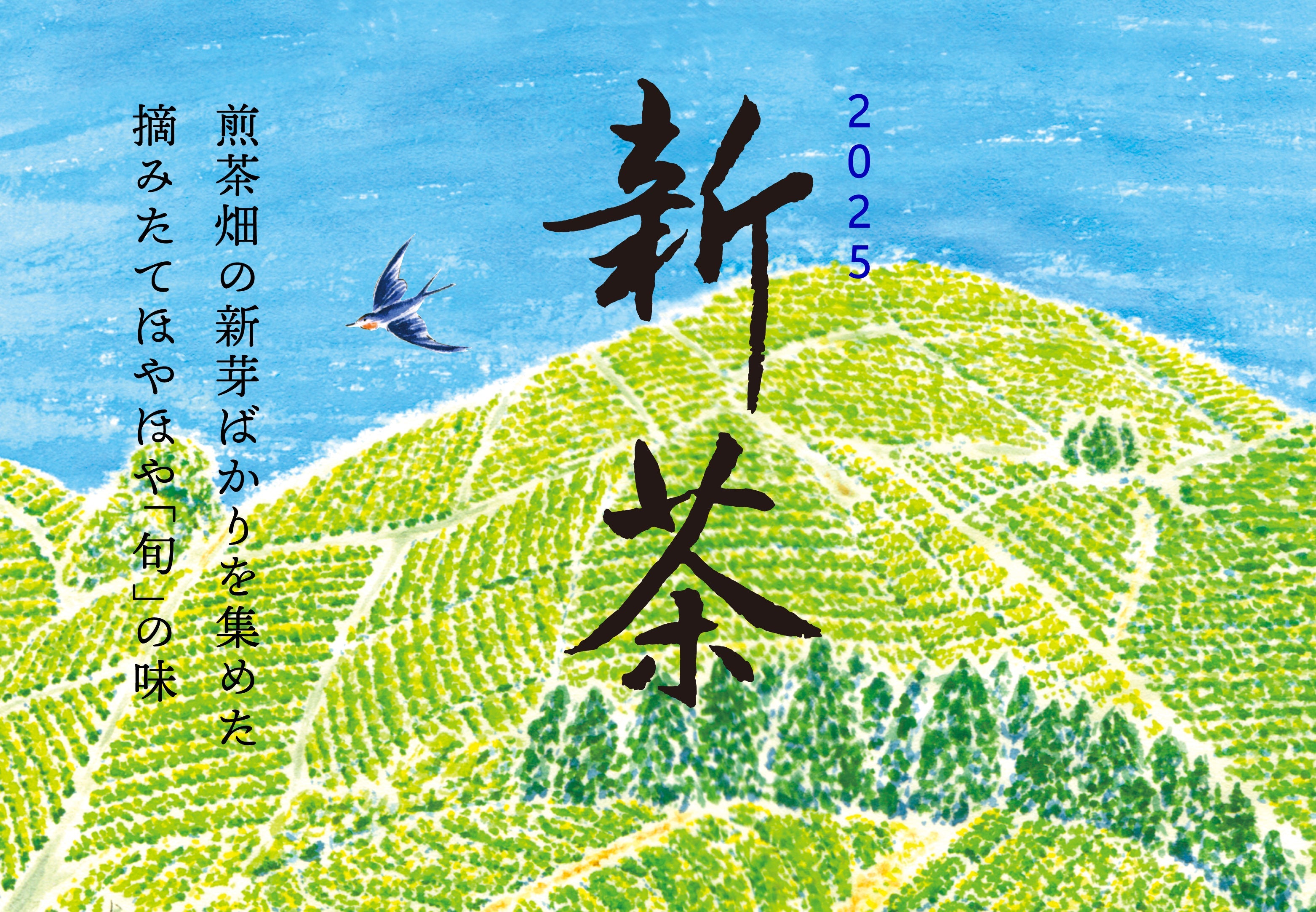 【商品】2025年「新茶」5/10(土) 発売です！