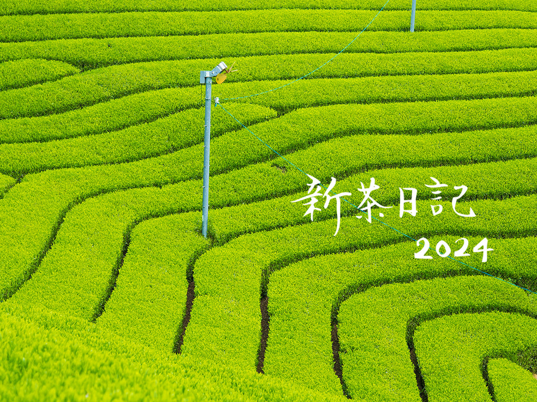 新茶日記2024