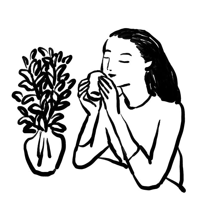 私の新茶の楽しみ方