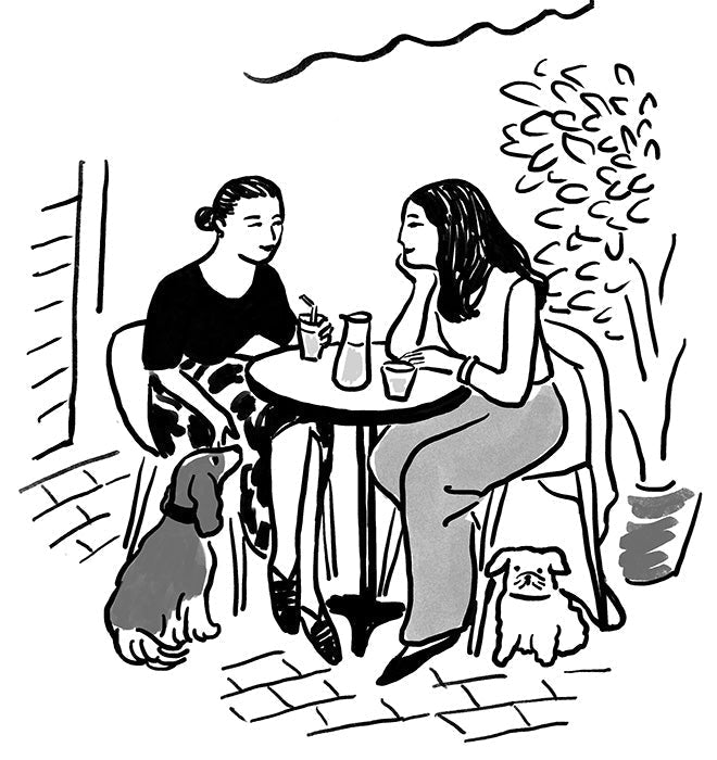 初夏に味わいたいお茶