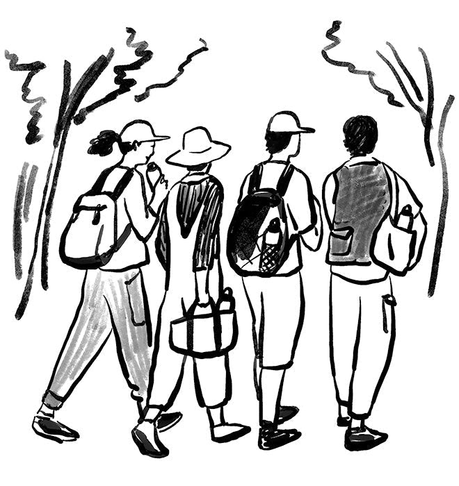 マイボトルのお茶