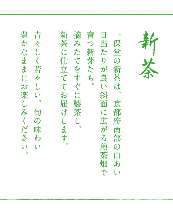 【5月下旬発売予定】新茶 小缶箱(95g)