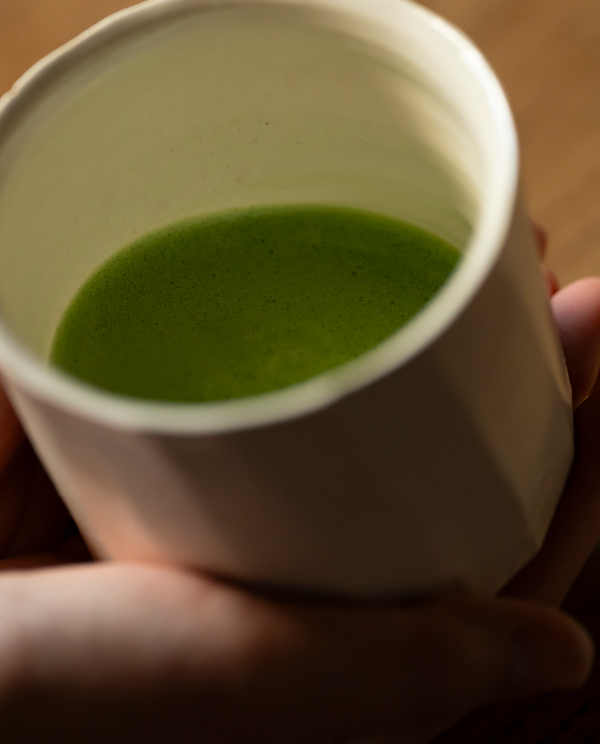 抹茶 久遠(くおん)20g箱