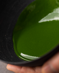 抹茶 久遠(くおん)20g箱