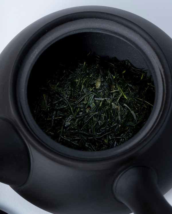 くろ急須(常滑焼) レフティー