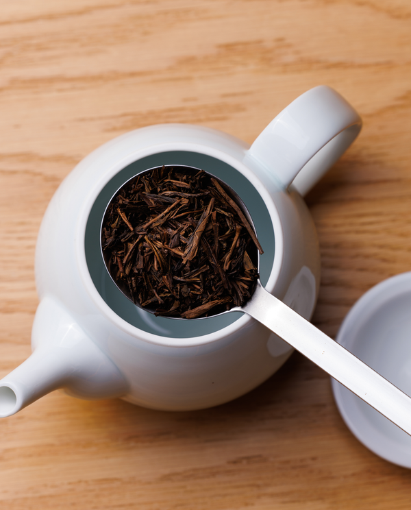 白磁ティーポット(波佐見焼)