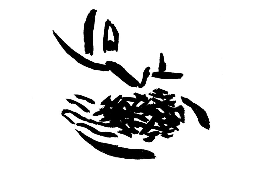 知るのイラスト